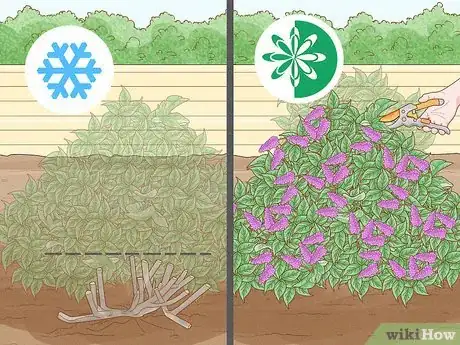 Image titled Why Does Your Plant Have Yellow Leaves Step 11