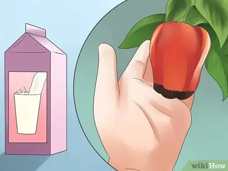 Image titled Grow Bell Peppers Step 16