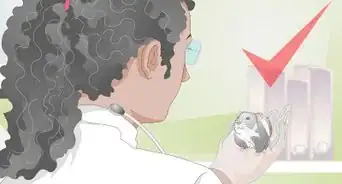 Deal With a Mean Hamster