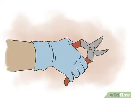 Image titled Prune Clematis Step 5