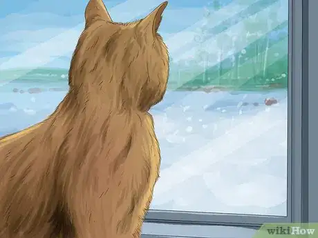 Image titled Keep Your Pets Safe in Winter Step 12