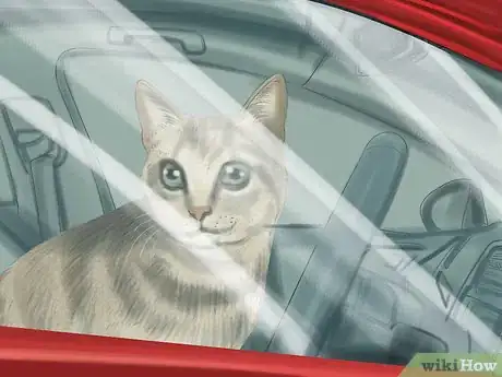 Image titled Prevent Heatstroke in Cats Step 1