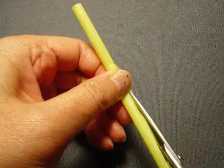 Image titled Shachi4_183.JPG