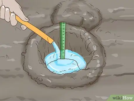 Image titled Grow Crocus Step 4