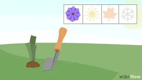 Image titled Grow Daylilies Step 1