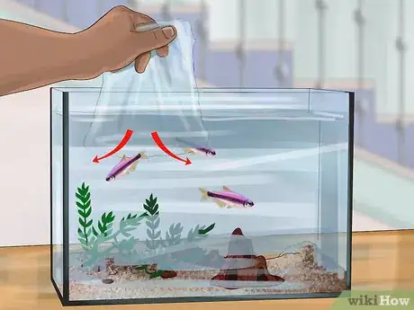 Image titled Buy a Fish for a Child Step 15