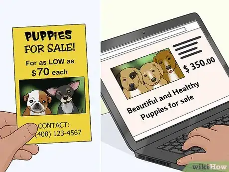 Image titled Identify a Puppy Mill Step 6