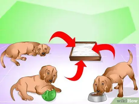 Image titled Discipline a New Puppy Step 3