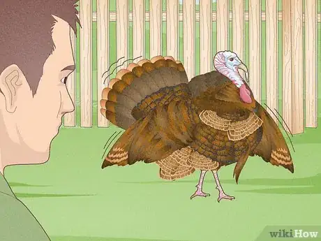 Image titled Have Healthy Relationships with Animals Step 1