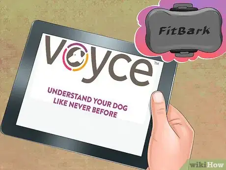 Image titled Track Your Dog's Patterns Step 1