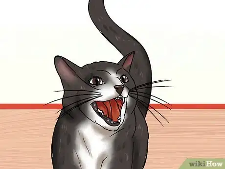 Image titled Treat Feline Glaucoma Step 7