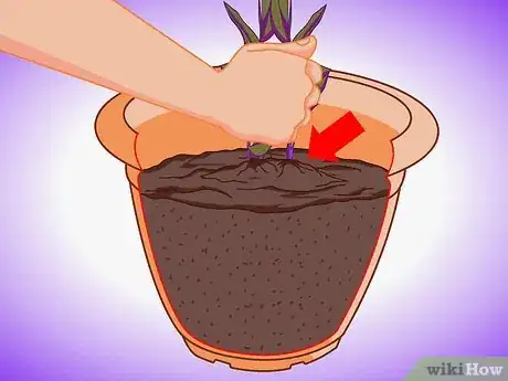 Image titled Plant Aquatic Plants Step 16