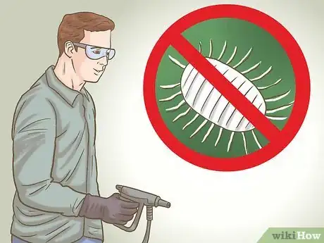 Image titled Grow Finger Limes Step 10