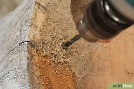 Image titled Make a Tree Stump Coffee Table Step 8