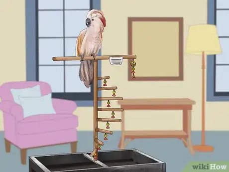 Image titled Live With a Moluccan Cockatoo Step 18
