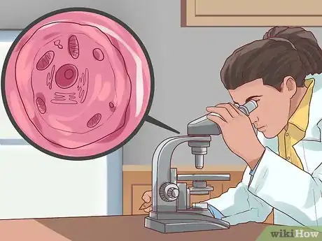 Image titled Study for the MCAT Step 5