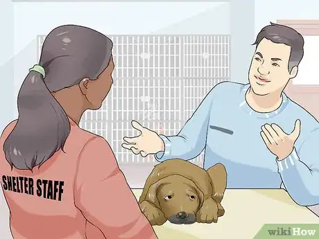 Image titled Handle a Dog Given to You As a Gift Step 15