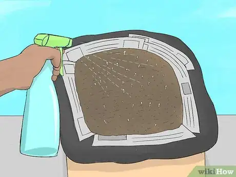 Image titled Grow Portobello Mushrooms Step 13