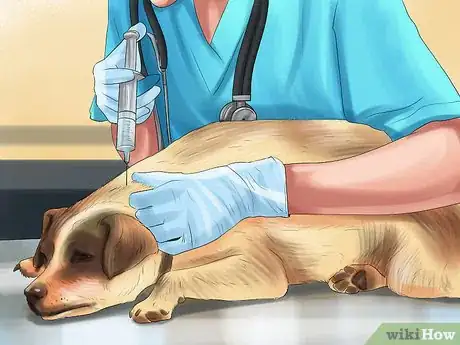 Image titled Keep a Dog or Cat Successfully While Living in an Apartment Step 22