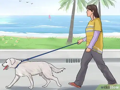 Image titled Treat Pica in Older Dogs Step 2