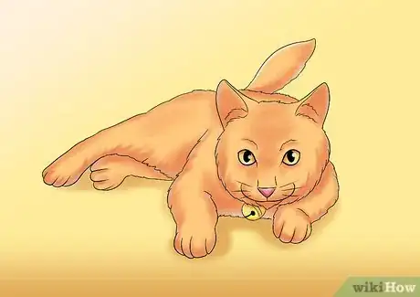 Image titled Care for a Cat with Kidney Failure Step 10