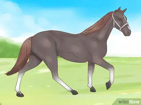 Image titled Choose Your Horse Step 4