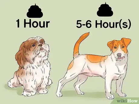 Image titled House Train Your Dog in Less than a Week Step 6