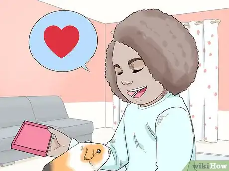 Image titled Avoid Scaring Your Guinea Pig Step 15