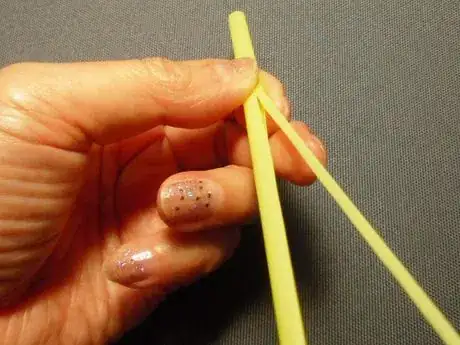 Image titled Shachi5_450.JPG