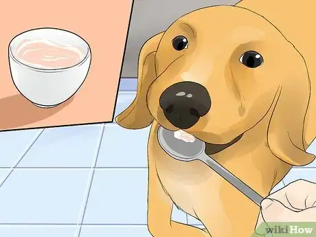 Image titled Choose Dog Treats Step 12