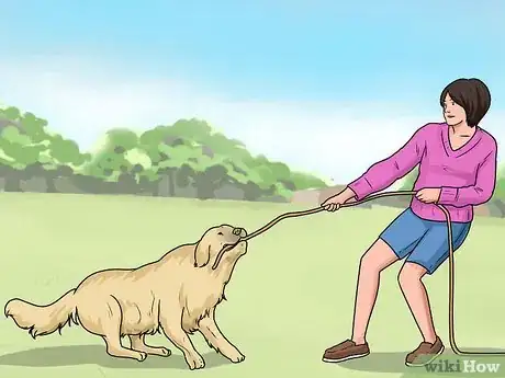 Image titled Keep Your Dog from Being Bored Step 5