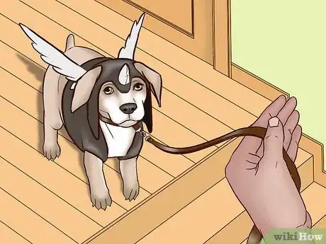 Image titled Keep Your Dog Safe on Halloween Step 10