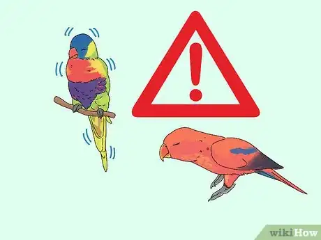 Image titled Choose a Lory or Lorikeet Step 7