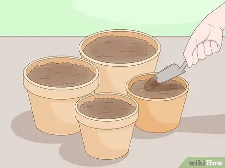 Image titled Clean Plant Containers Step 10