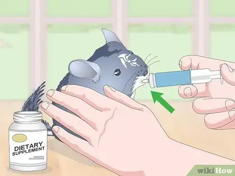 Image titled Prevent Chinchillas from Developing Hairballs Step 5