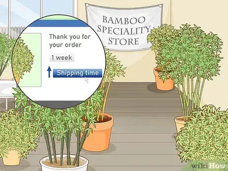 Image titled Buy Bamboo Step 10