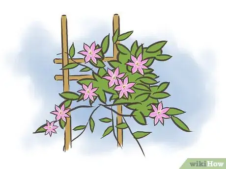Image titled Prune Clematis Step 1