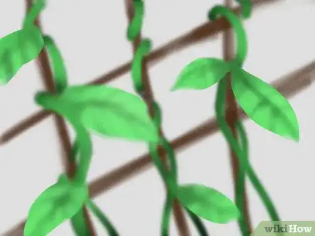 Image titled Use a Small Side Yard Step 3