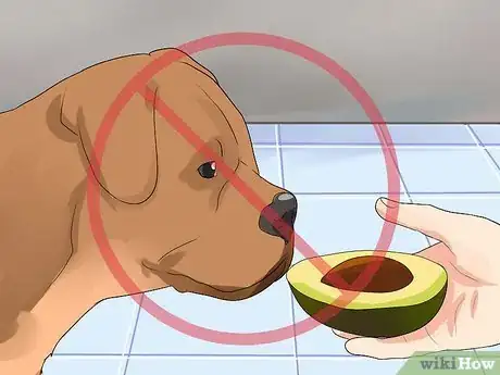 Image titled Choose Dog Treats Step 13