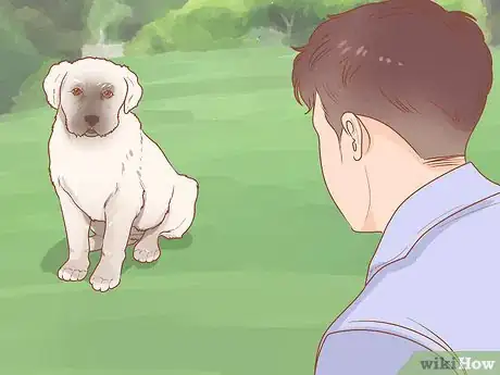 Image titled Train a Rescue Dog Step 1