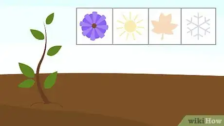 Image titled Grow Crepe Myrtle Step 1