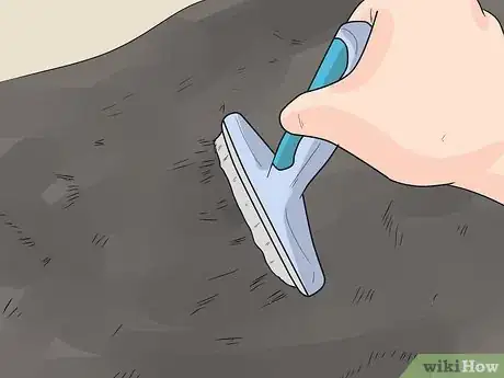 Image titled Care for Bulldogs Step 16