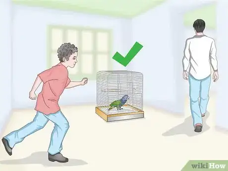 Image titled Bond with a Pionus Parrot Step 11