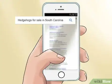 Image titled Buy a Hedgehog Step 2