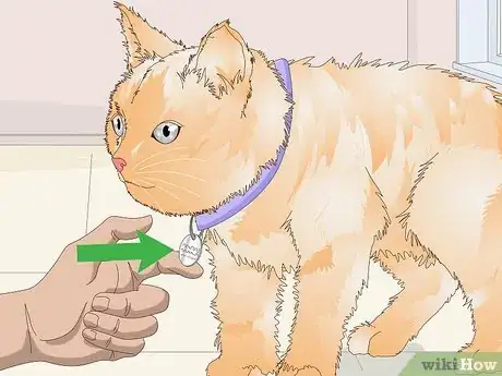 Image titled Buy Necessary Supplies for Your New Cat Step 2