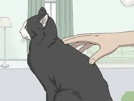 Image titled Soothe Your Cat With a Massage Step 9