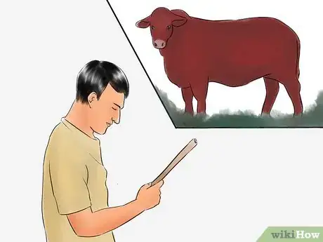 Image titled Identify Beefmaster Cattle Step 3
