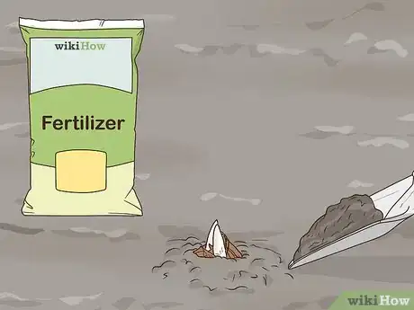 Image titled Grow Crocus Step 9