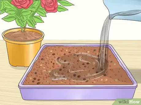 Image titled Grow in a Greenhouse Step 11