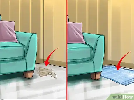 Image titled Train a Ferret Step 6